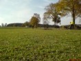/album/a18-10-2008/dsc00028-jpg1/