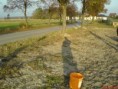 /album/sazenky-v-zemi/dsc00043-jpg/