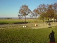 /album/a26-10-2008/dsc00047-jpg/